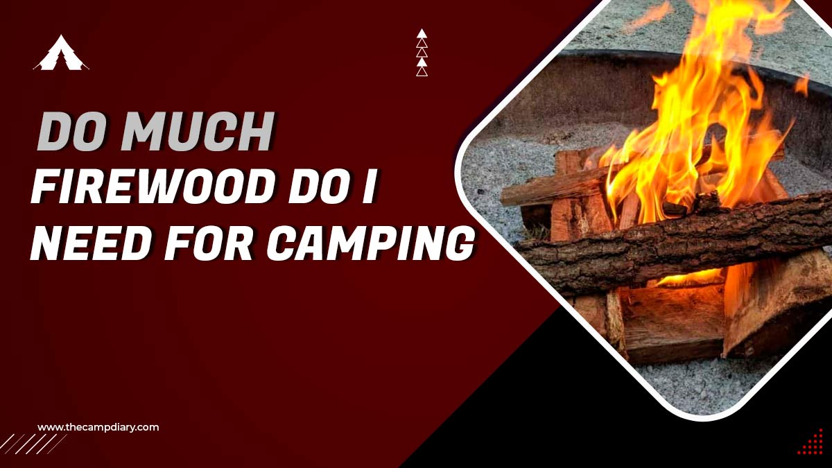 How Much Firewood Do I Need For Camping [2022 Detail Guide]