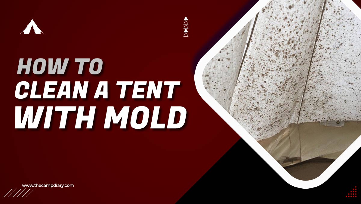 How To Clean A Tent With Mold [2022 Guide]