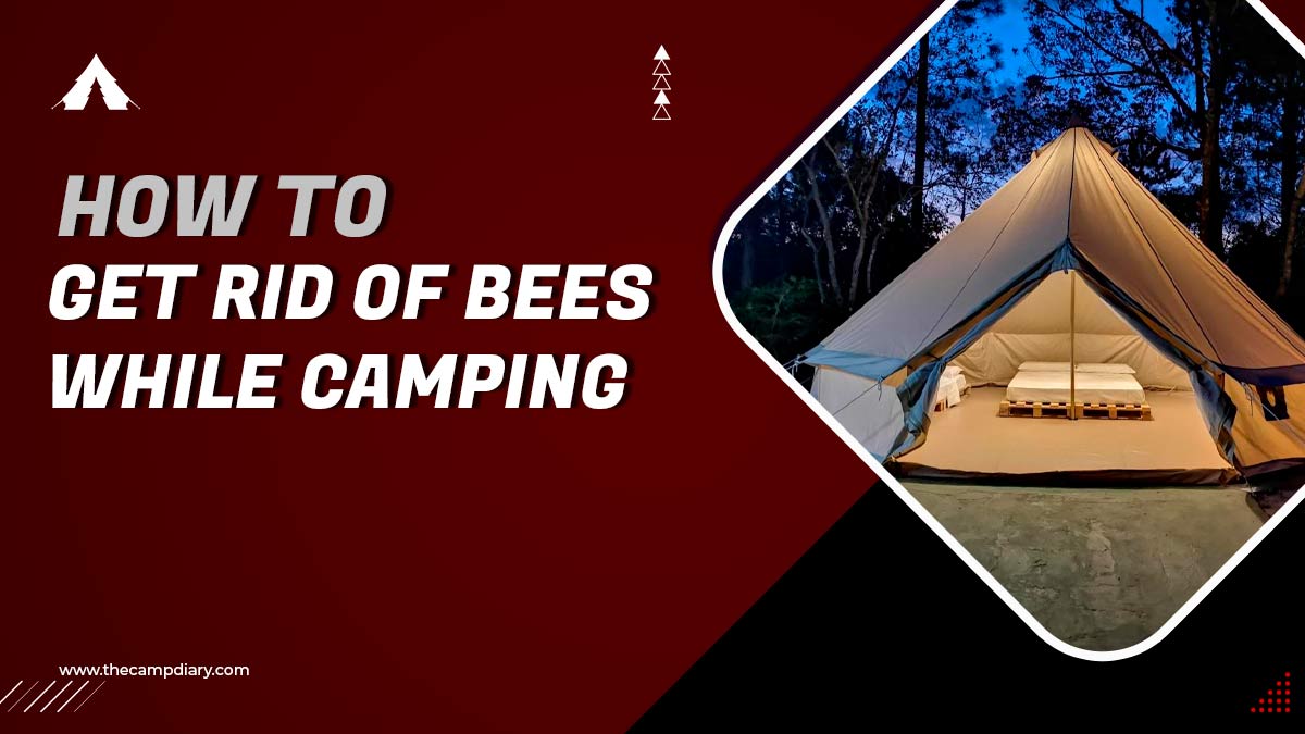 15 Tips to Keep Bees Away From Your Campsite [2023 Guide]