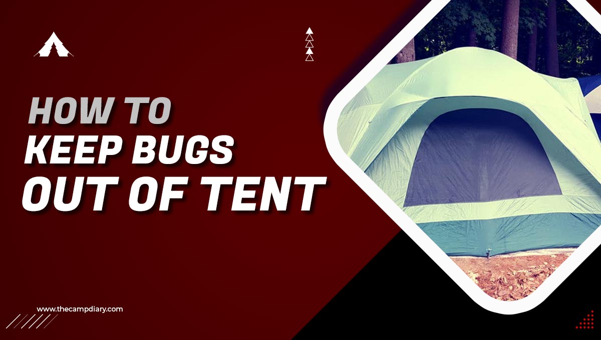 How To Keep Bugs Out Of Tent [2023 Guide]