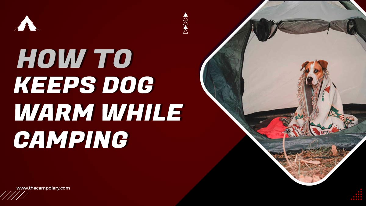 How To Keep Your Dog Warm While Camping - 15 Methods [2022]