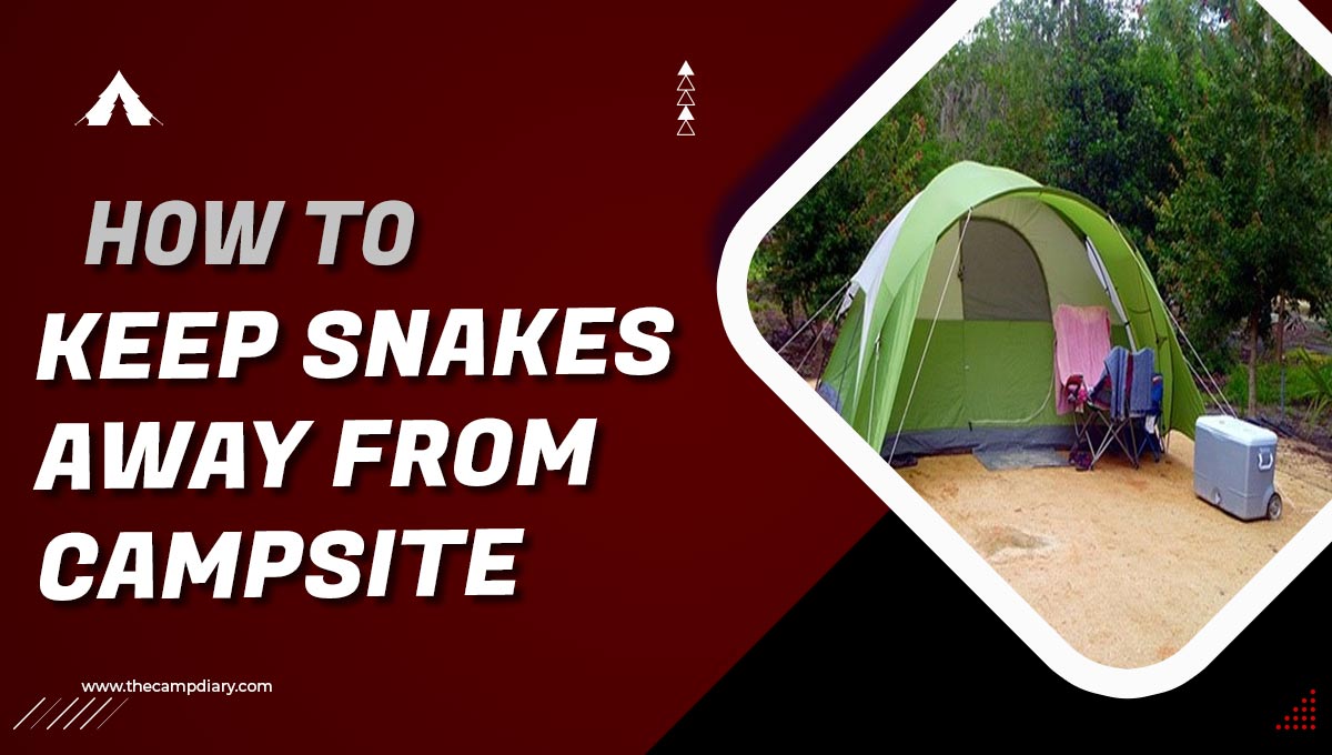 How to Keep Snakes away from Campsite - [2023 Guide]