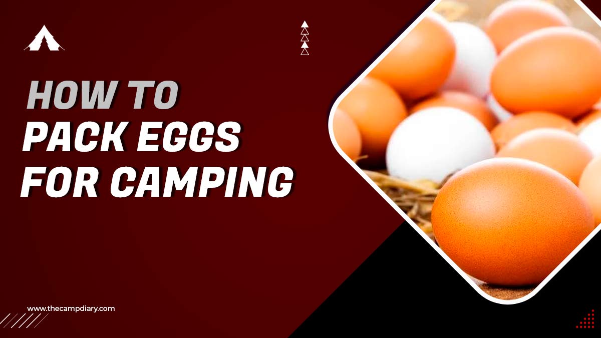 How to Pack Eggs for Camping 8 Easy Methods