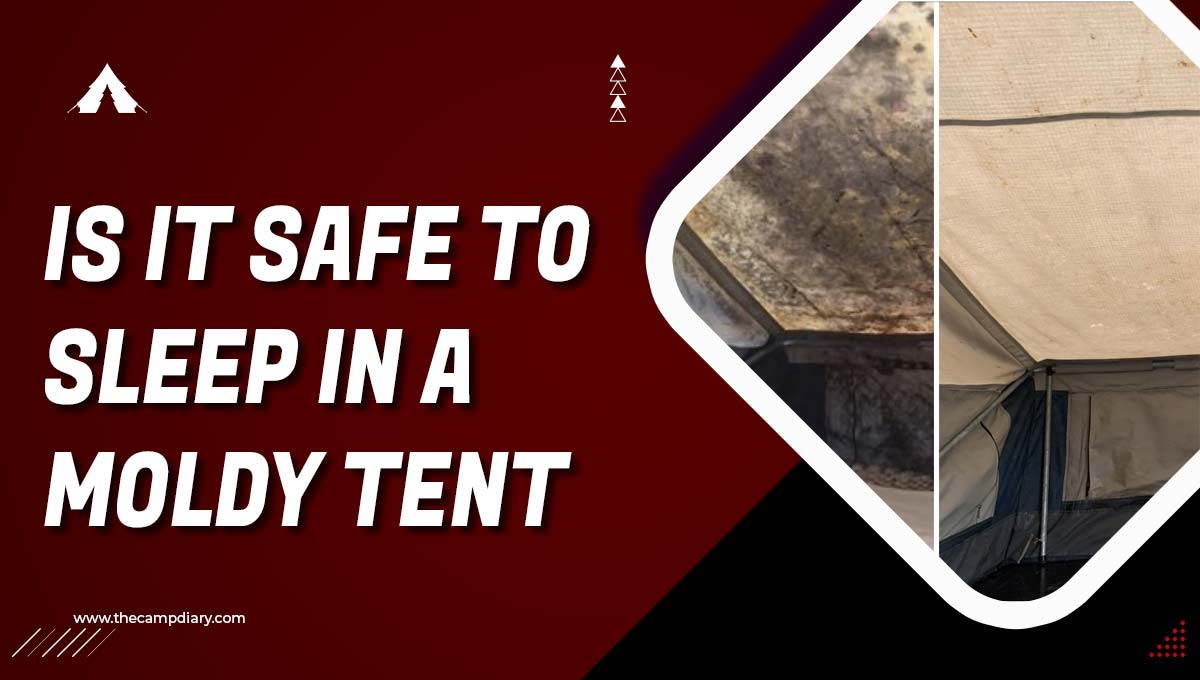 Is It Safe to Sleep in a Moldy Tent? - Detailed Guide