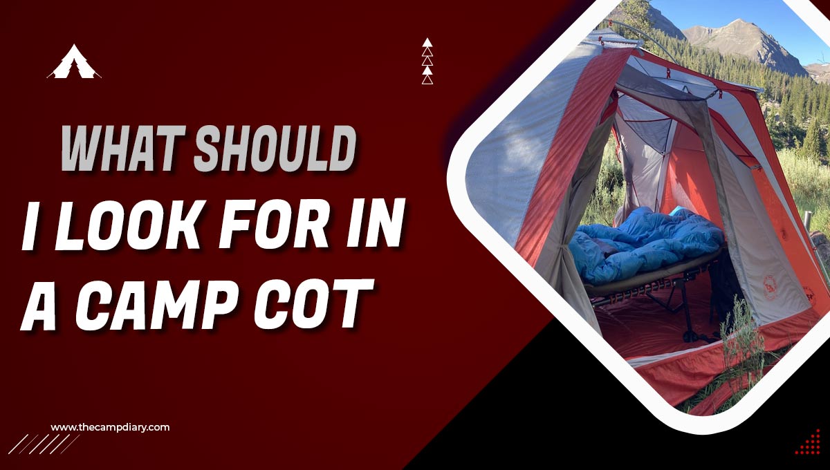 What Should I Look for in a Camp Cot? [2023 Guide]